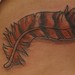 Tattoos - hawk Indian feather tattoo  - 53071